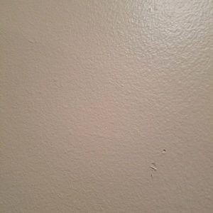 Meet your Posher, Lanitra